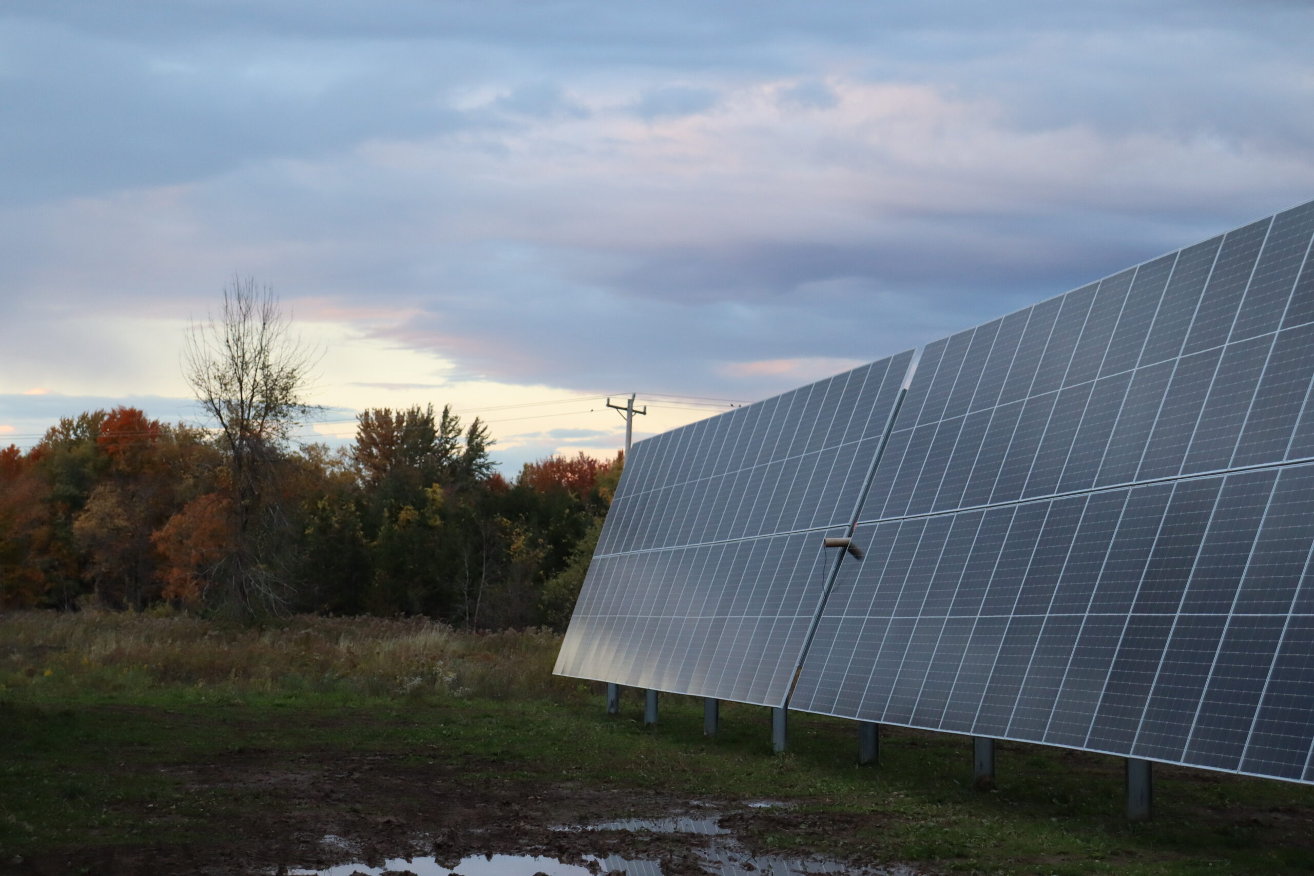 Solar Panels at Sundown - Sun-Pull Wire (Photo by Gino Geruntino)